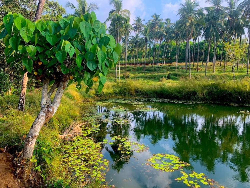 Monappa Estate - Top Rated - Luxury Villa Udupi Extérieur photo